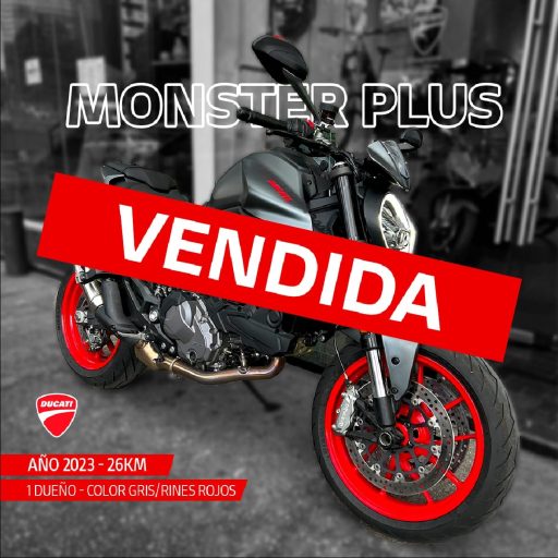 Monster Plus Gris-36